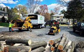 Best Emergency Tree Removal Services  in Scottdale, PA