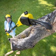 Best Tree Mulching Services  in Scottdale, PA